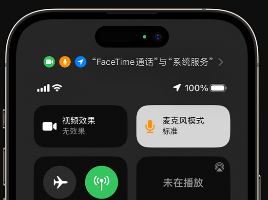 蠡县苹果授权维修网点分享iPhone在通话时让你的声音更清晰 