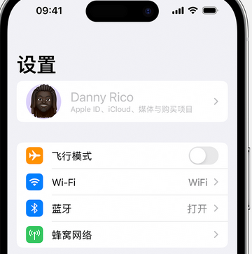 蠡县appleID维修服务iPhone设置中Apple ID显示为灰色无法使用 