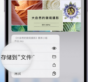 蠡县apple维修中心分享iPhone文件应用中存储和找到下载文件