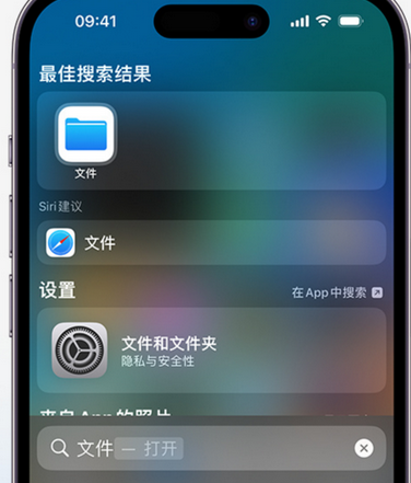 蠡县apple维修中心分享iPhone文件应用中存储和找到下载文件 