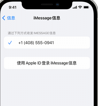 蠡县apple维修iPhone上无法正常发送iMessage信息 