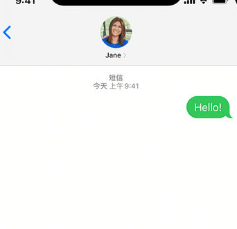 蠡县apple维修iPhone上无法正常发送iMessage信息