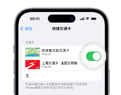 蠡县apple维修点分享iPhone上更换Apple Pay快捷交通卡手绘卡面 