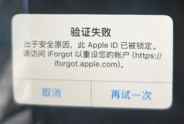 蠡县iPhone维修分享iPhone上正常登录或使用AppleID怎么办 