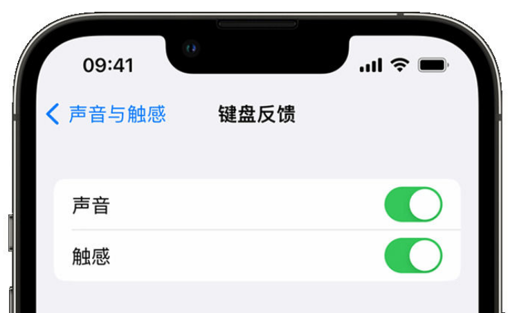 蠡县苹果手机维修分享iPhone 14触感键盘使用方法 