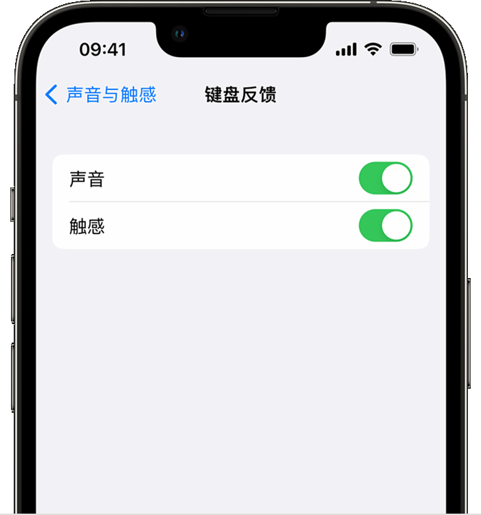 蠡县苹果14维修店分享如何在 iPhone 14 机型中使用触感键盘 