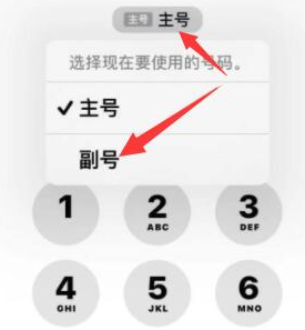 蠡县苹果14维修店分享iPhone 14 Pro Max使用副卡打电话的方法 