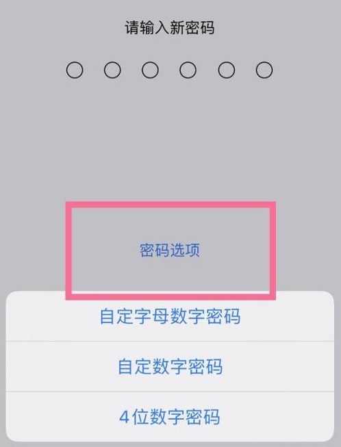 蠡县苹果14维修分享iPhone 14plus设置密码的方法 