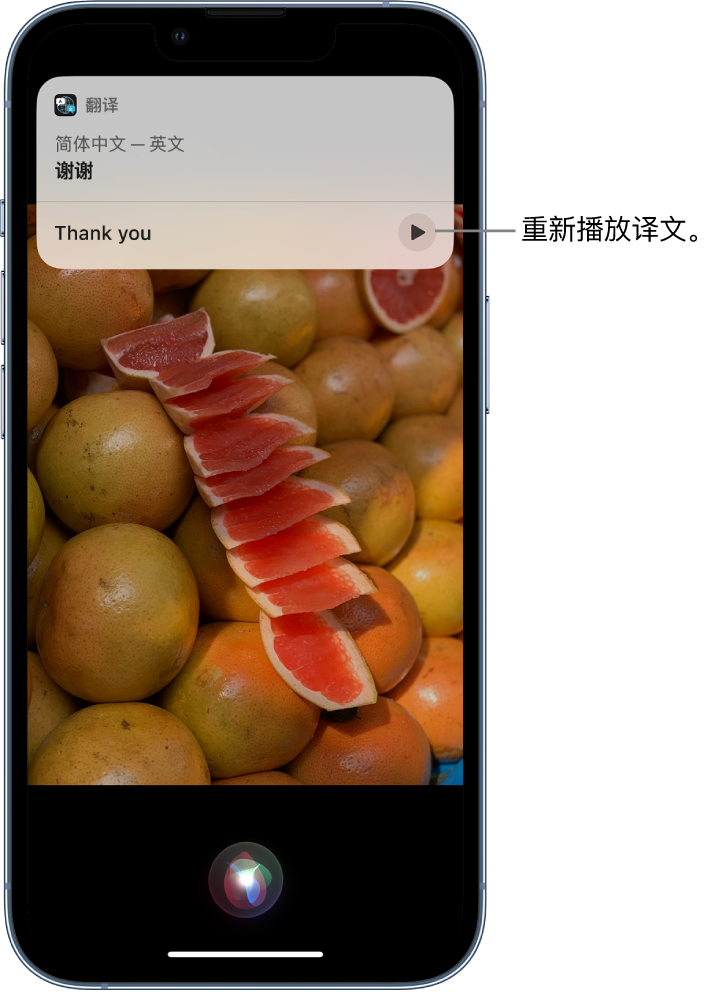 蠡县苹果14维修分享 iPhone 14 机型中使用 Siri：了解 Siri 能帮你做什么 