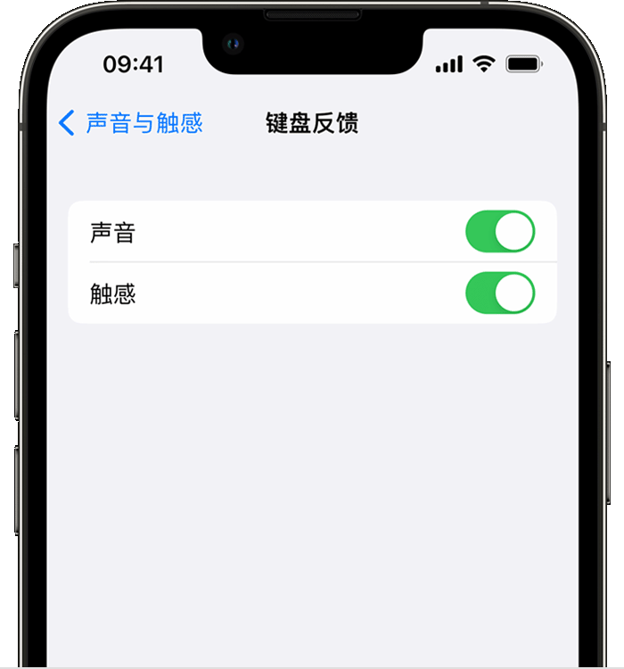 蠡县苹果14维修分享iPhone 14 系列机型如何开启键盘声音或触感反馈 