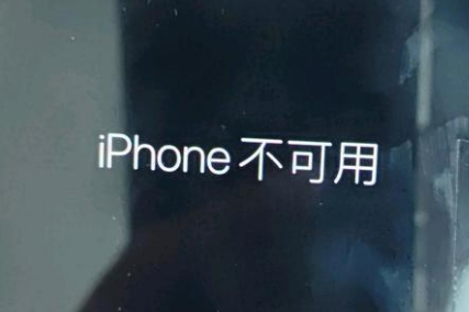 蠡县苹果服务网点分享锁屏界面显示“iPhone 不可用”如何解决 