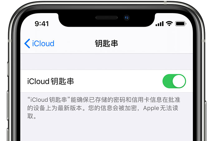 蠡县苹果手机维修分享在 iPhone 上开启 iCloud 钥匙串之后会储存哪些信息 