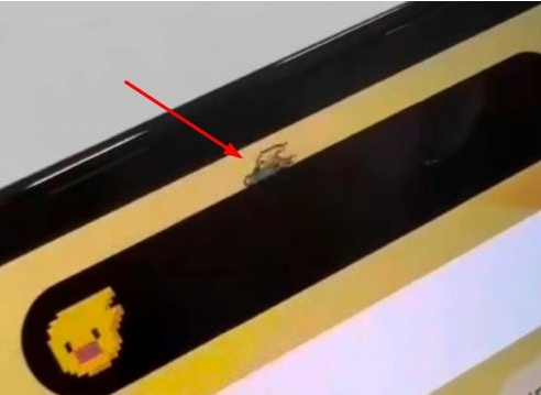 蠡县苹果14维修分享iPhone 14 Pro Max灵动岛怎么养宠物 