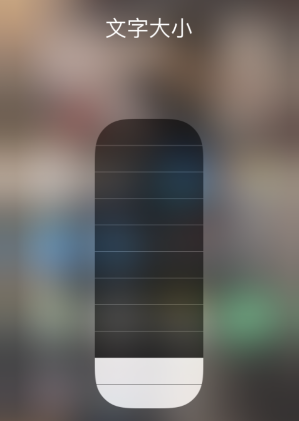 蠡县苹果手机维修分享小技巧：在 iPhone 控制中心快速调节字体大小 