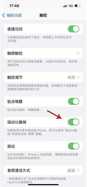 蠡县苹果手机维修分享iPhone手机如何设置摇一摇删除文字 