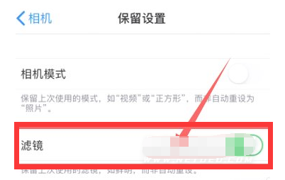 蠡县苹果13维修分享iPhone13拍照有绿点是怎么回事 
