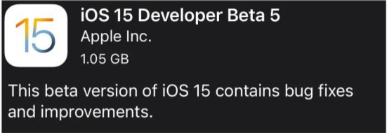 蠡县苹果手机维修分享如何升级到iOS15.0 beta5 
