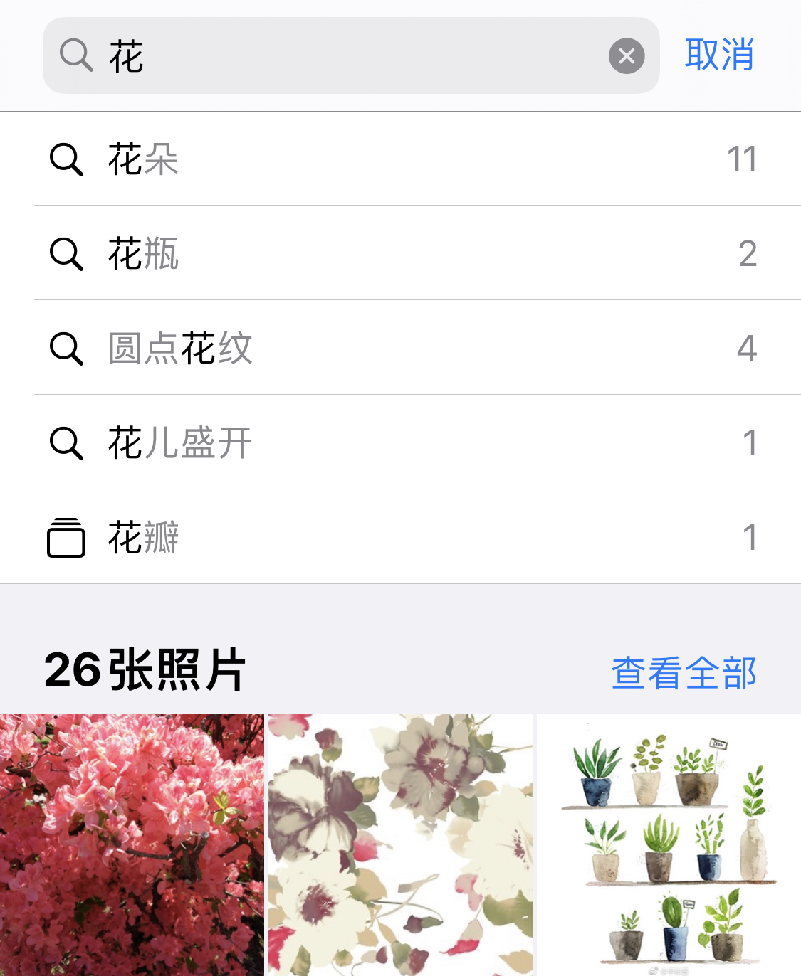 蠡县苹果手机维修分享iPhone 小技巧 