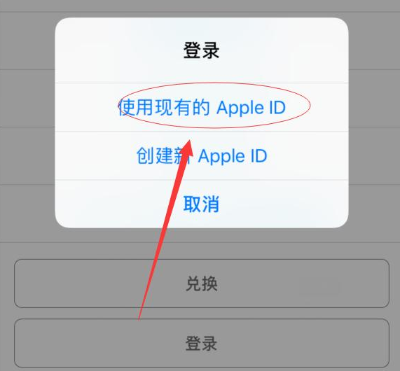 蠡县苹果手机维修分享两台iPhone设备可以同时登录一个Apple ID吗 