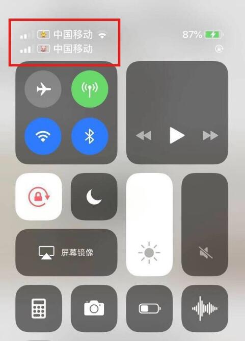 蠡县苹果手机维修分享为 iPhone 12 双卡设置标签 