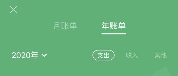 蠡县苹果手机维修分享如何在 iPhone 上查看支付宝和微信年支出账单 