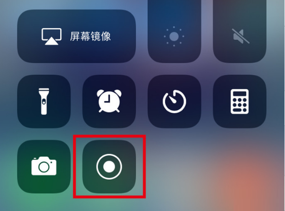 蠡县苹果手机维修分享iPhone12录屏方法教程 