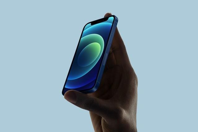 蠡县苹果手机维修分享iPhone 12 mini辐射很大吗 