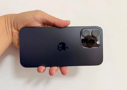 蠡县苹果维修点分享iPhone 14 Pro Max黑屏少见故障盘点 