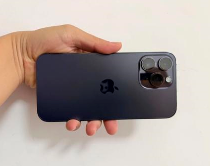 蠡县苹果维修点分享iPhone 14 Pro Max发烫多重诱因剖析 